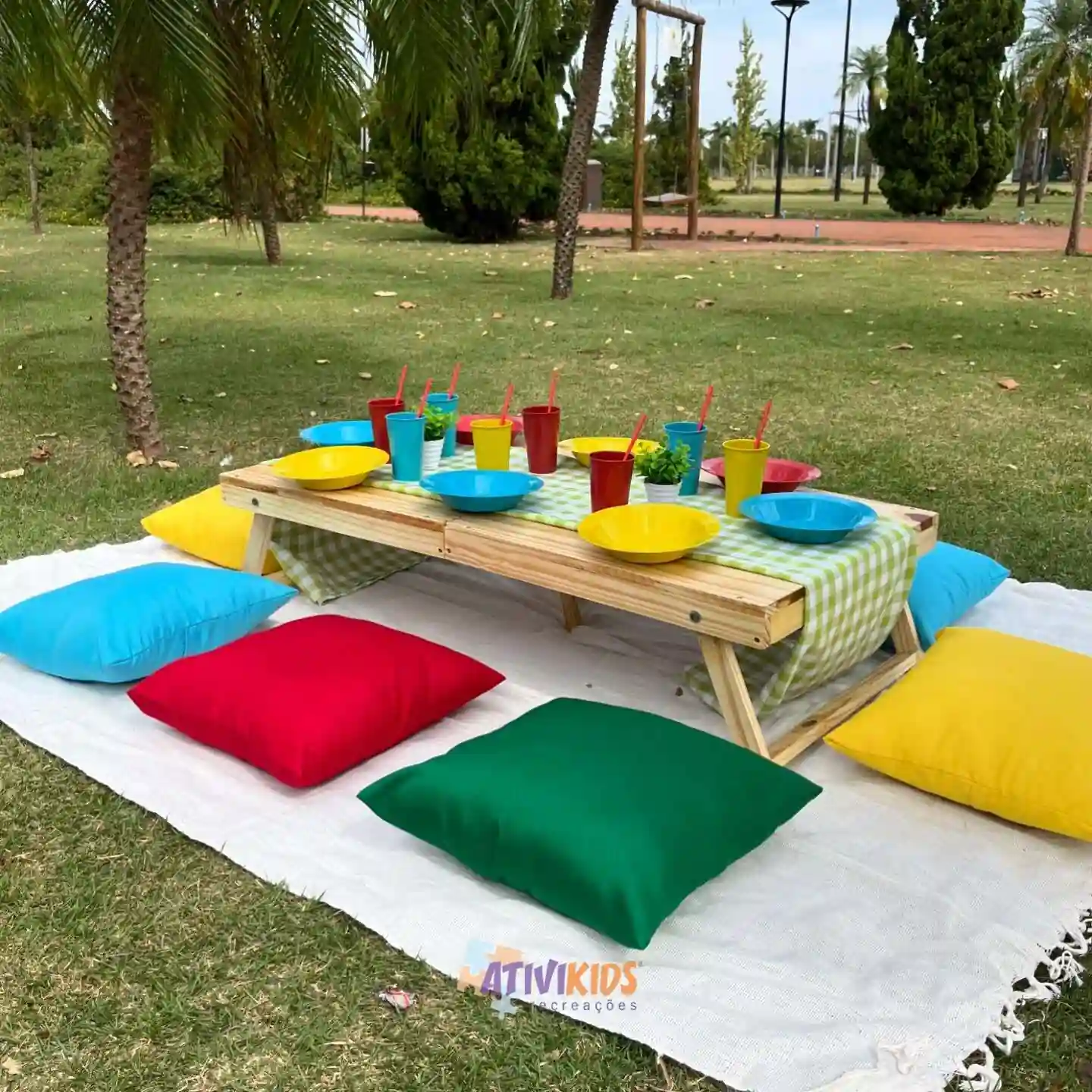 Festa estilo Picnic ao Ar Livre